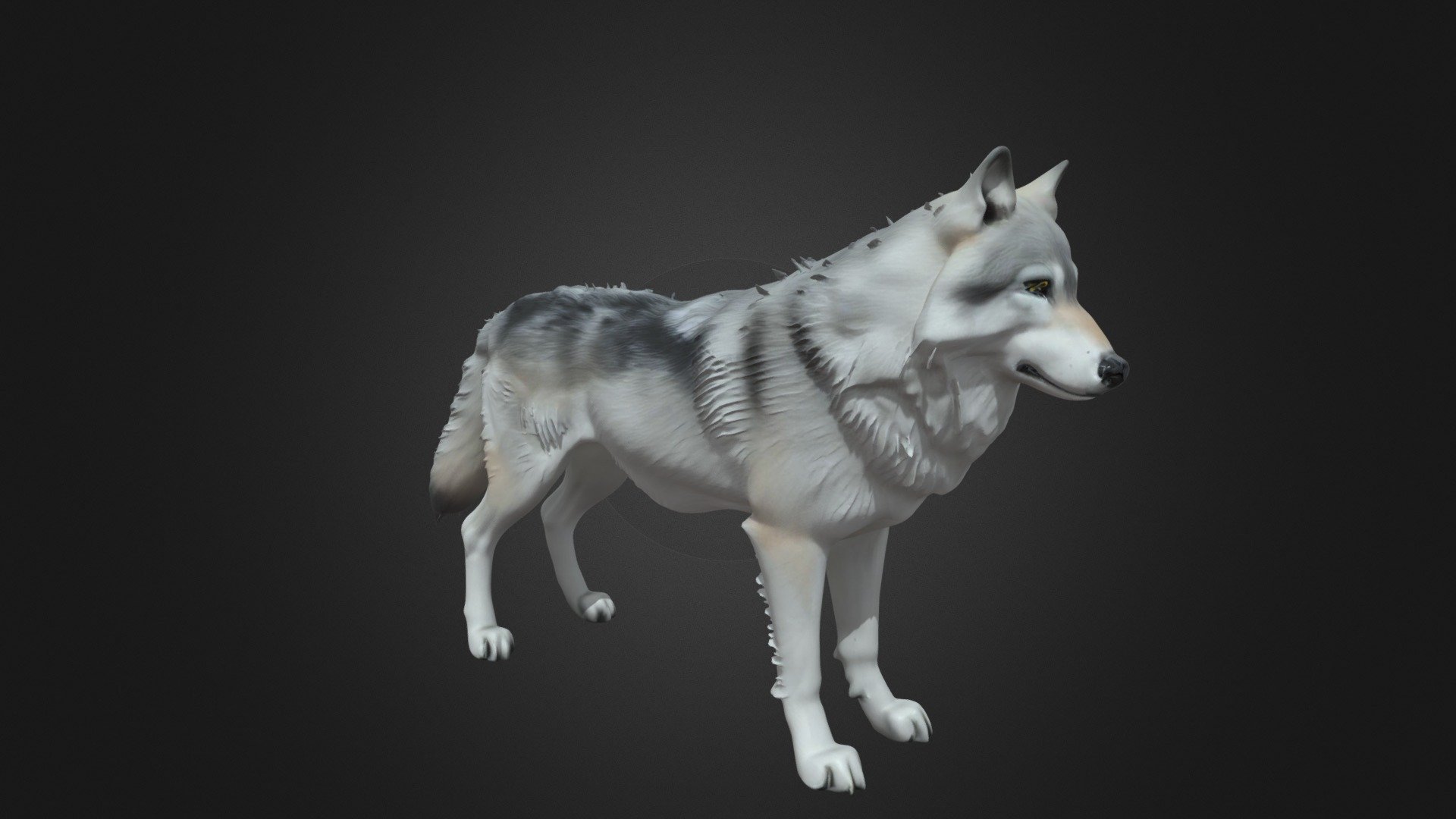 Majestic Snow Wolf - 3D model by Pigcraft (@s8819296) [3afc2f1] - Sketchfab