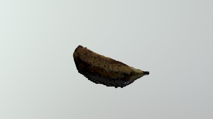 New Qlone 3D Model