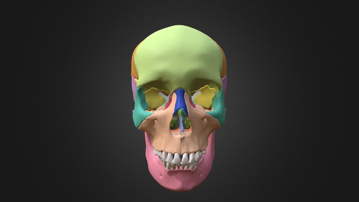 My Sketchfab Mesh 3D Model