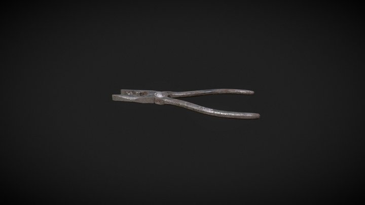 Passatizi_LG 3D Model