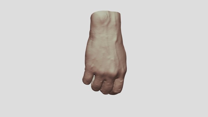 Hand B 3D Model