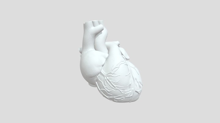 Heart 3D Model