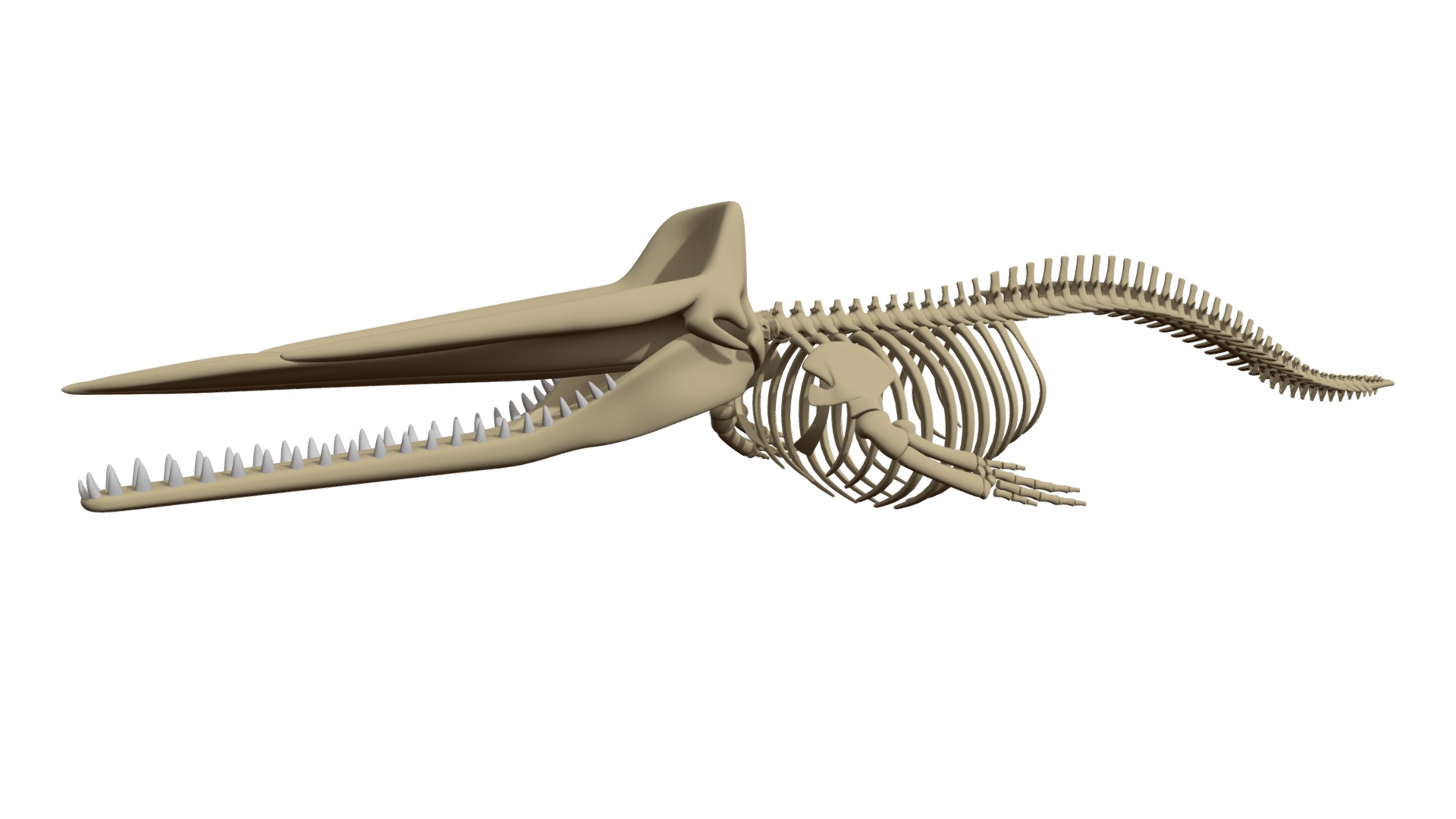 3D model Sperm Whale Skeleton - This is a 3D model of the Sperm Whale Skeleton. The 3D model is about a silver and black sword.