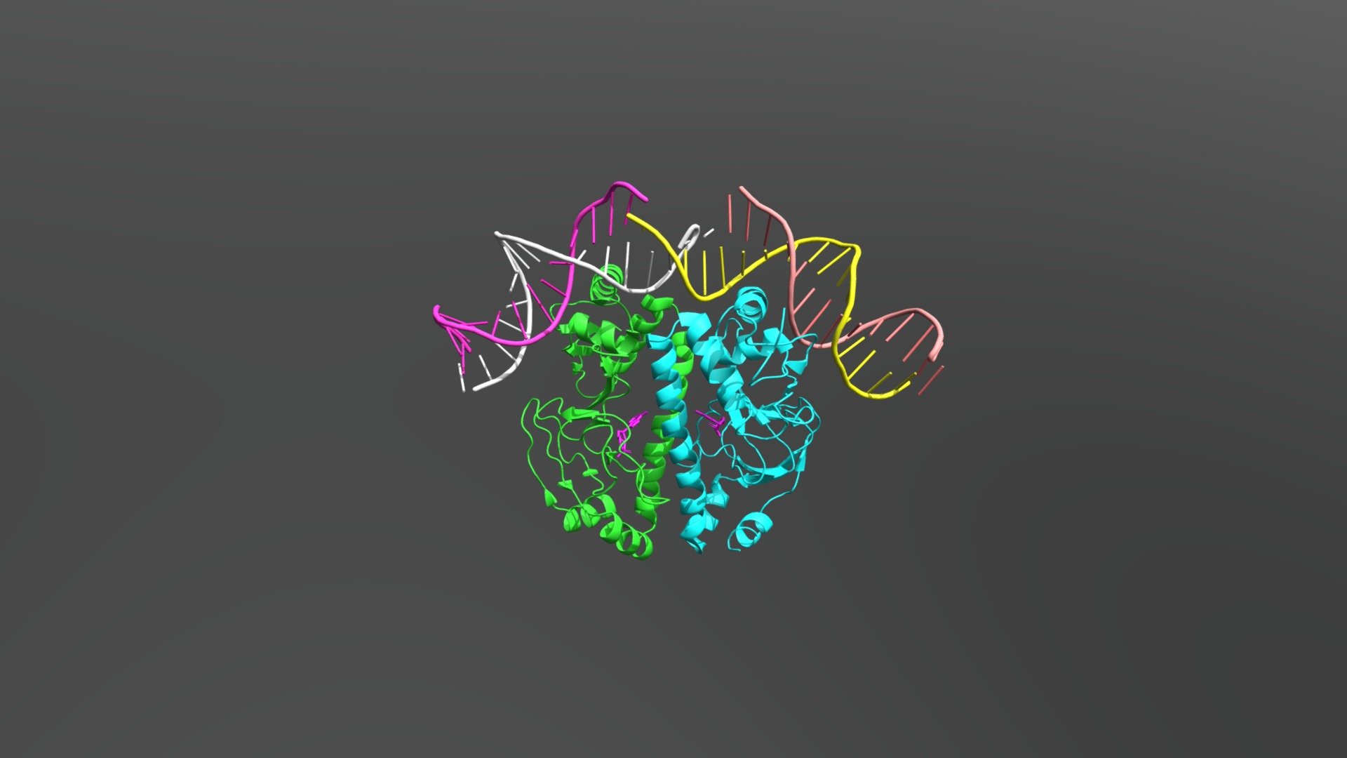 Catabolite activator protein