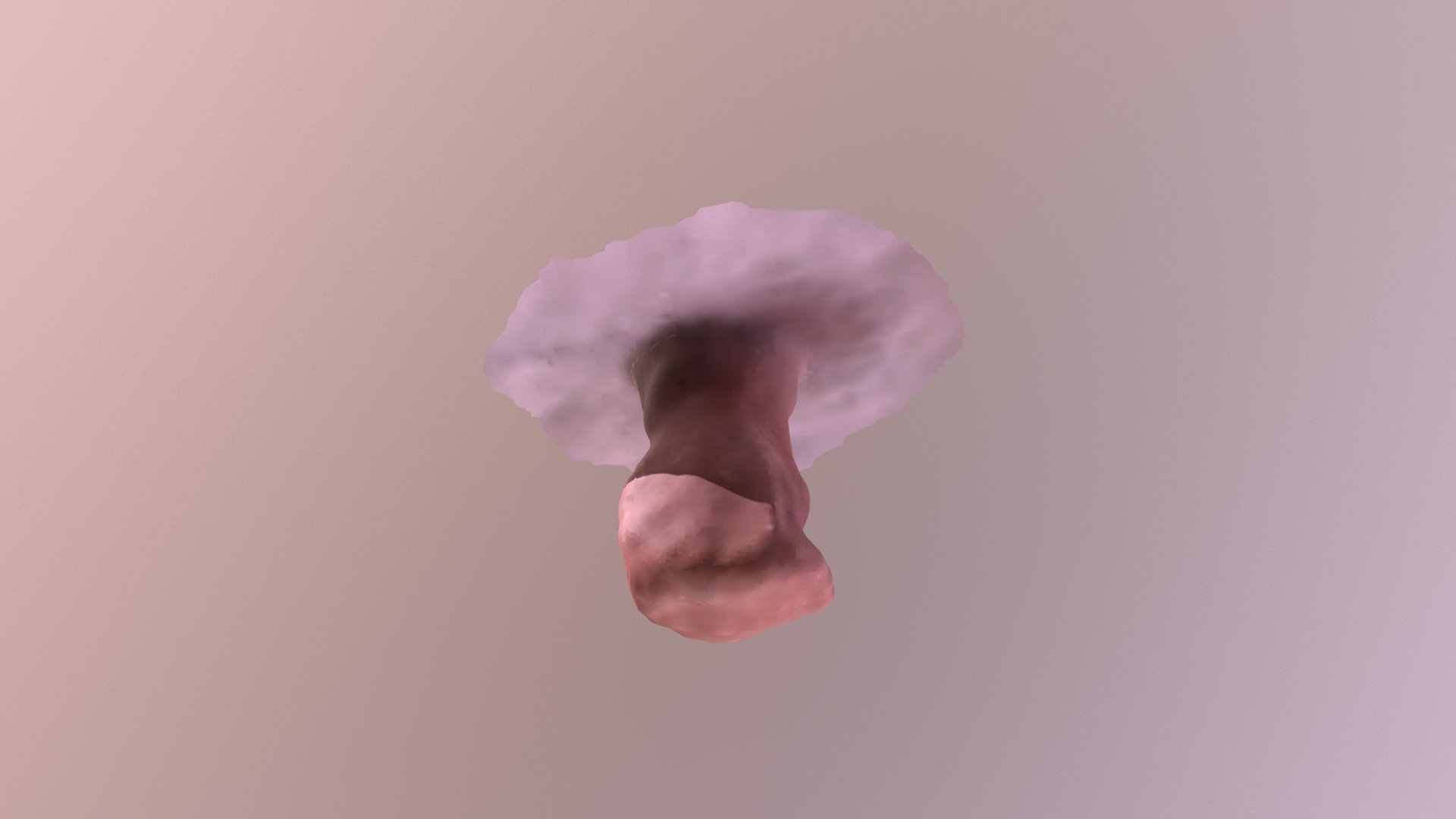 Look At This SCANN3D Model I've Made!