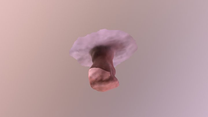 Look At This SCANN3D Model I've Made! 3D Model