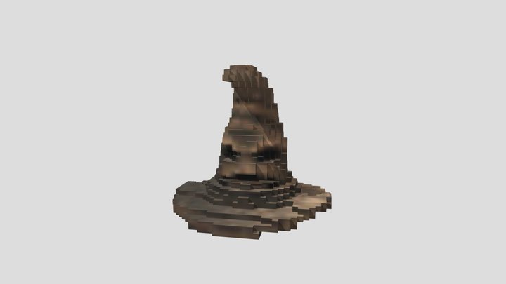 Choixpeau 3D Model