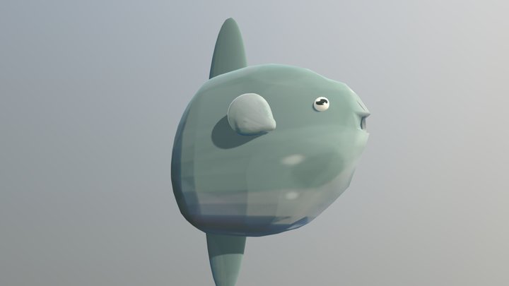 Fish 3D Model