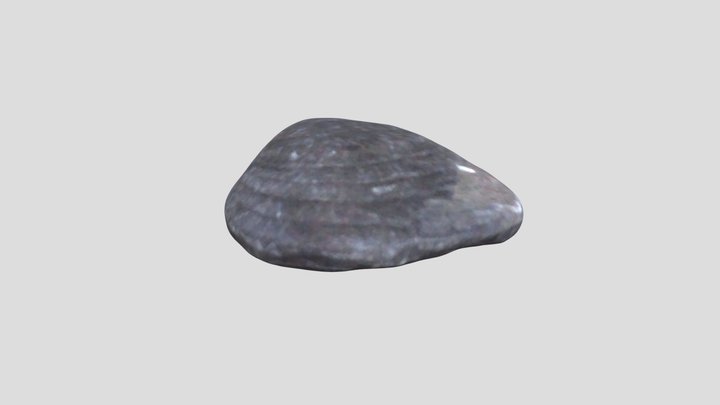 Cardinia 3D models - Sketchfab