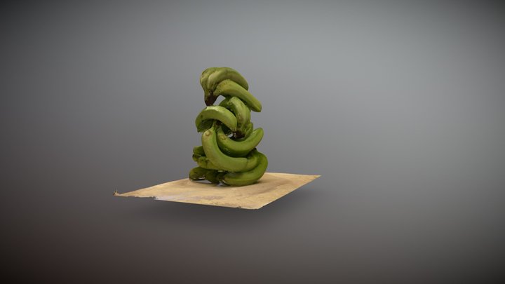 Sr. Guineo 3D Model