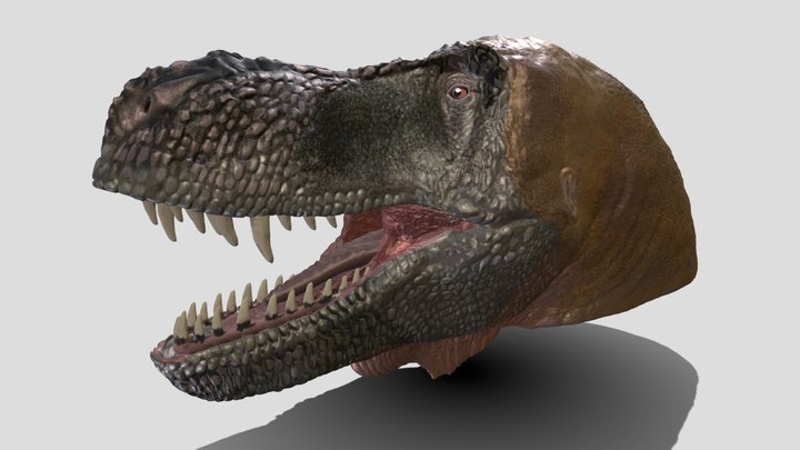 T rex head 3D Model