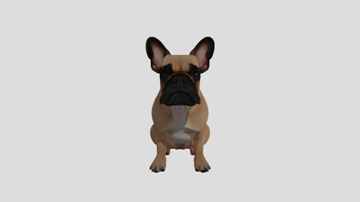 Bulldog francés 3D Model