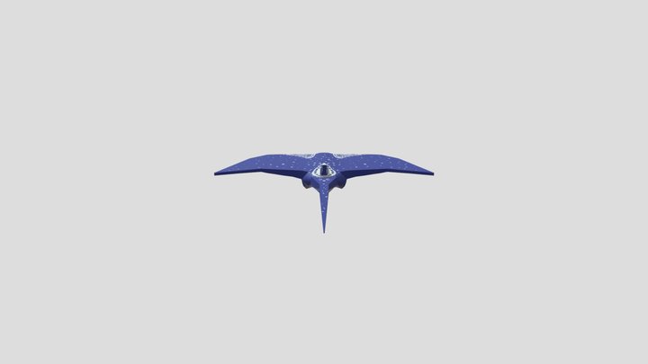 Manta ray sketchfab 3D Model