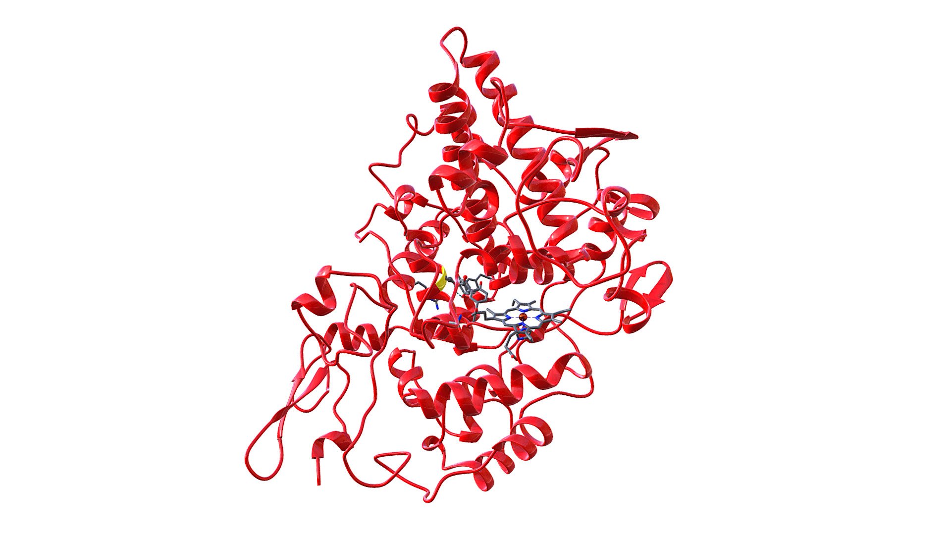 Aspirin bound to Cycloxygen - White Background
