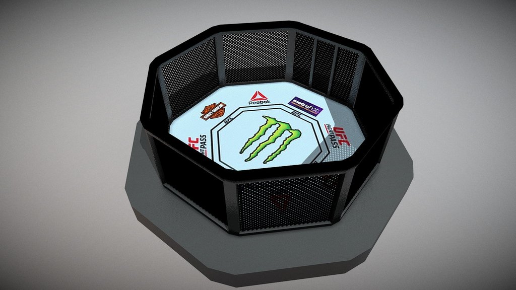 UFC Octagon