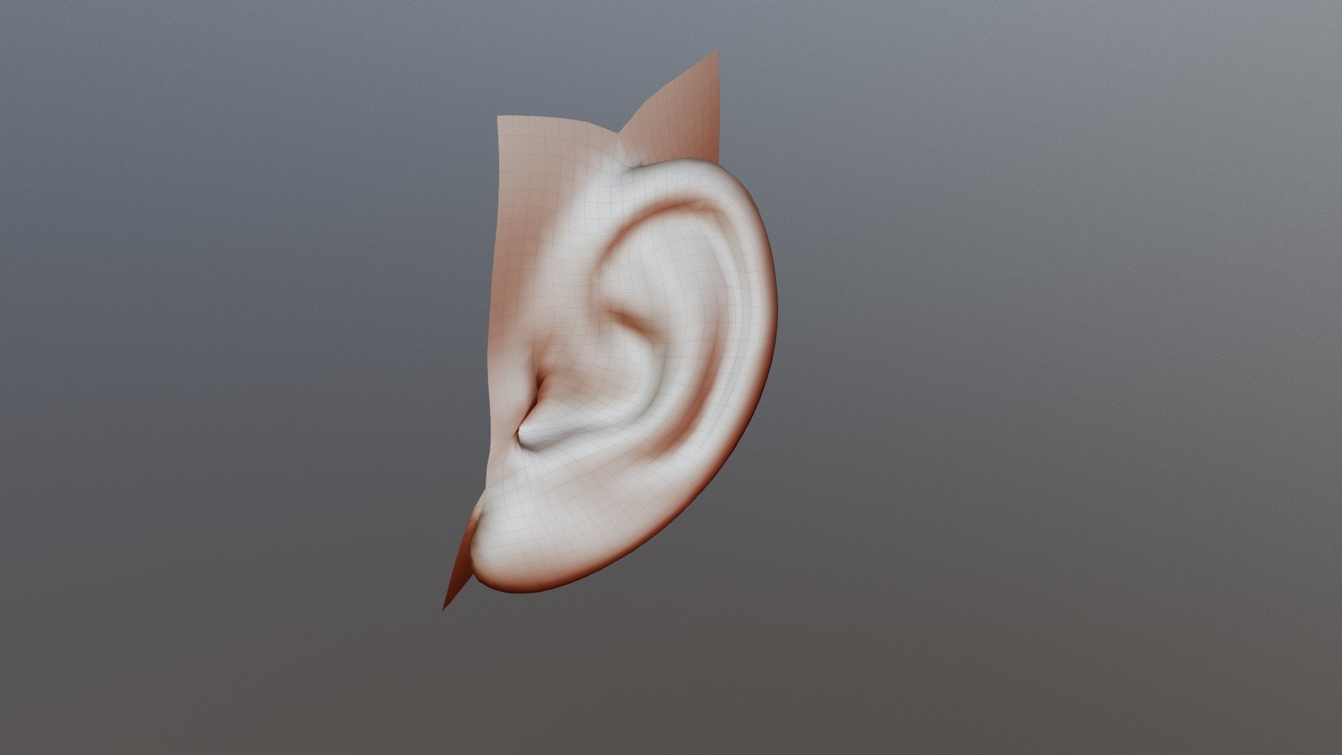 Ear