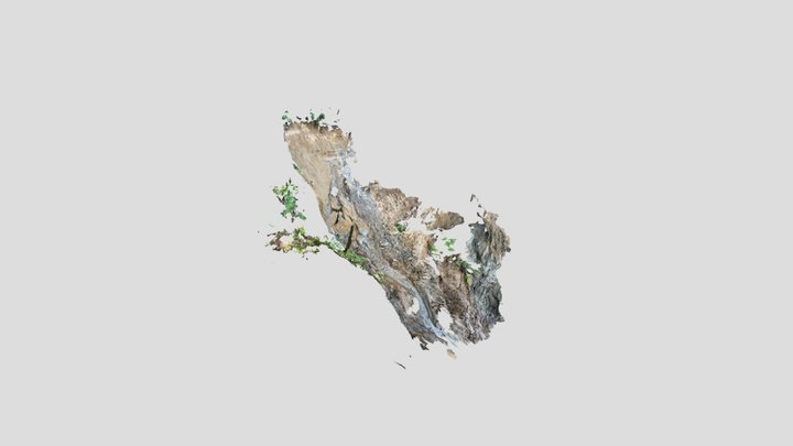 Untitled Scan 3D Model