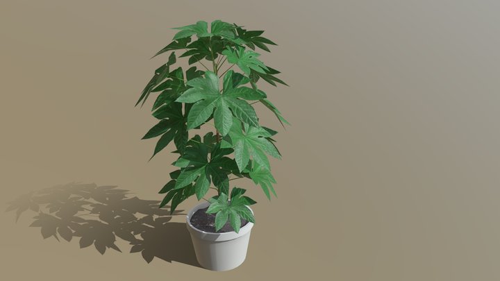 House Plant - LowPoly 3D Model
