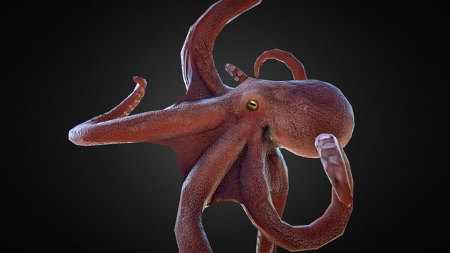 Octopus Low Poly 3D Model