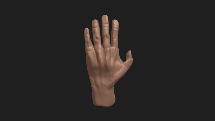 hand? 3D Model