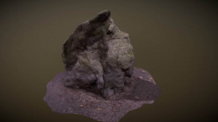 Photogrammetry4- Big Rock001 3D Model
