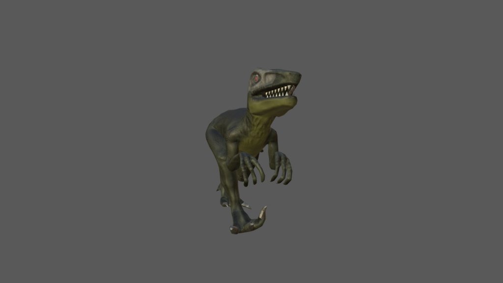 Raptor Animations