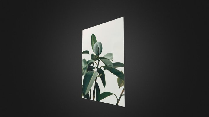 16 3D Model