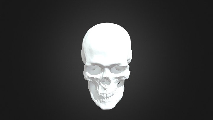 mystery skull 3D Model