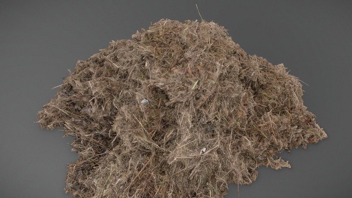 Small Hay pile 3D Model