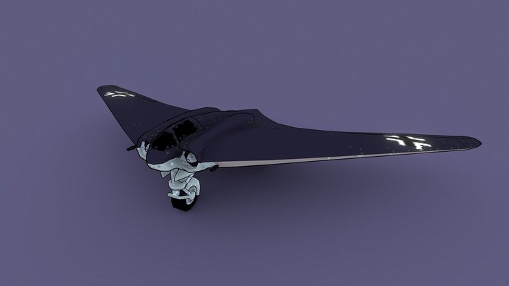 Horten Ho 229 3D Model