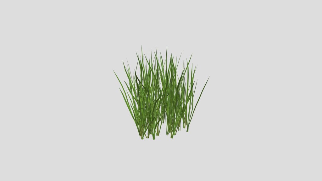 Wild Grass Patch 3