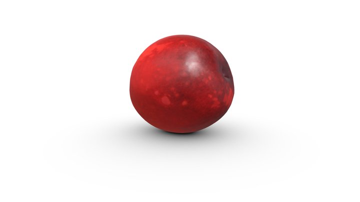 Cranberry 3D Model