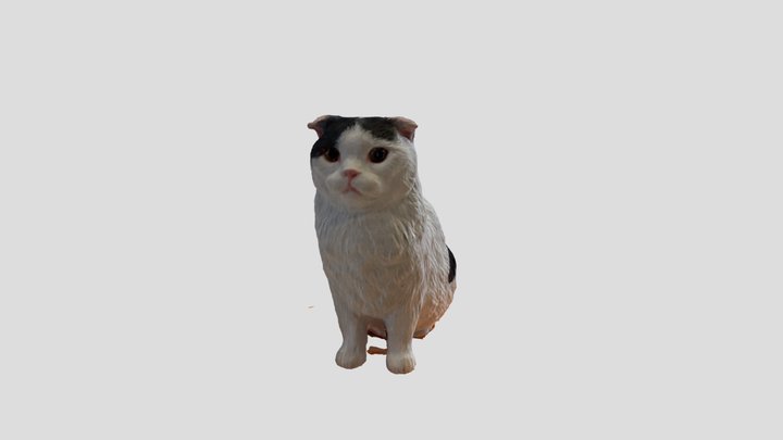 Tong Tong Cat 3D Model