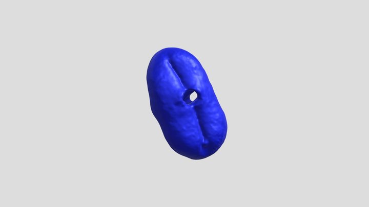 Pepper saxifrage (Silaum silaus) pollen grain 3D Model