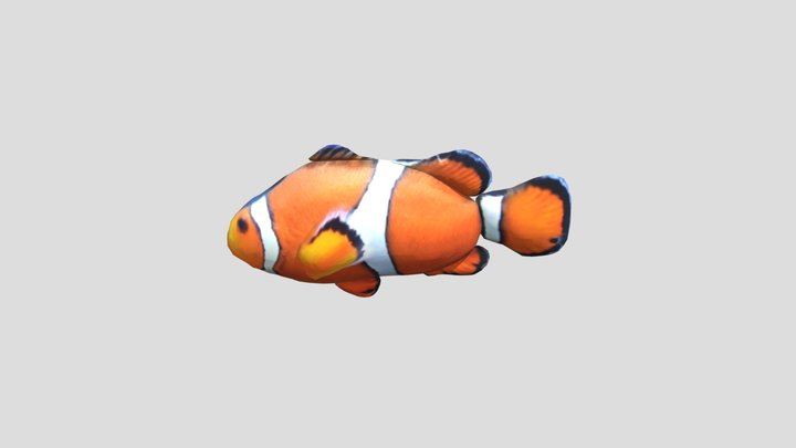 503-14-伍育麟-小丑魚 3D Model