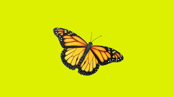 Brand New Eyes (Monarch Butterfly) 3D Model