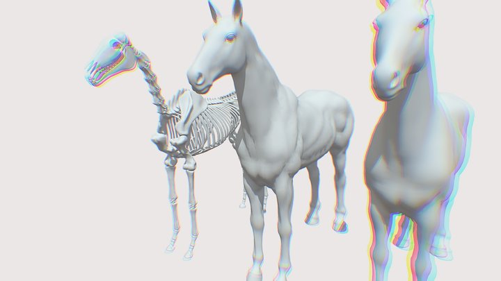 Horses 3D Model