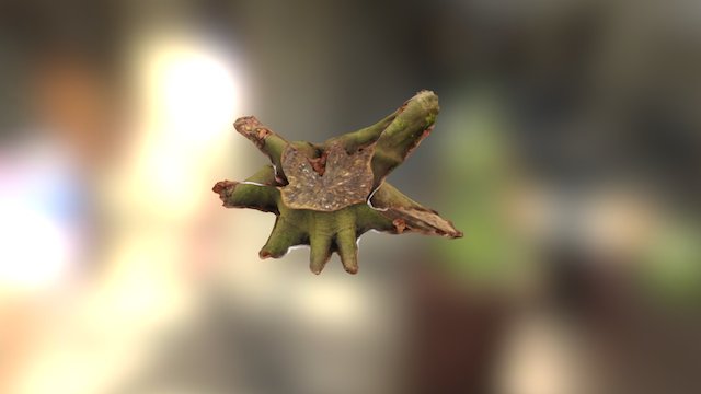 Treestump LowPoly HighRes 3 (20k Texture) 3D Model