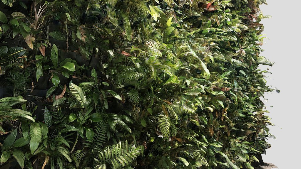 Landscape Living Wall, University of Greenwich