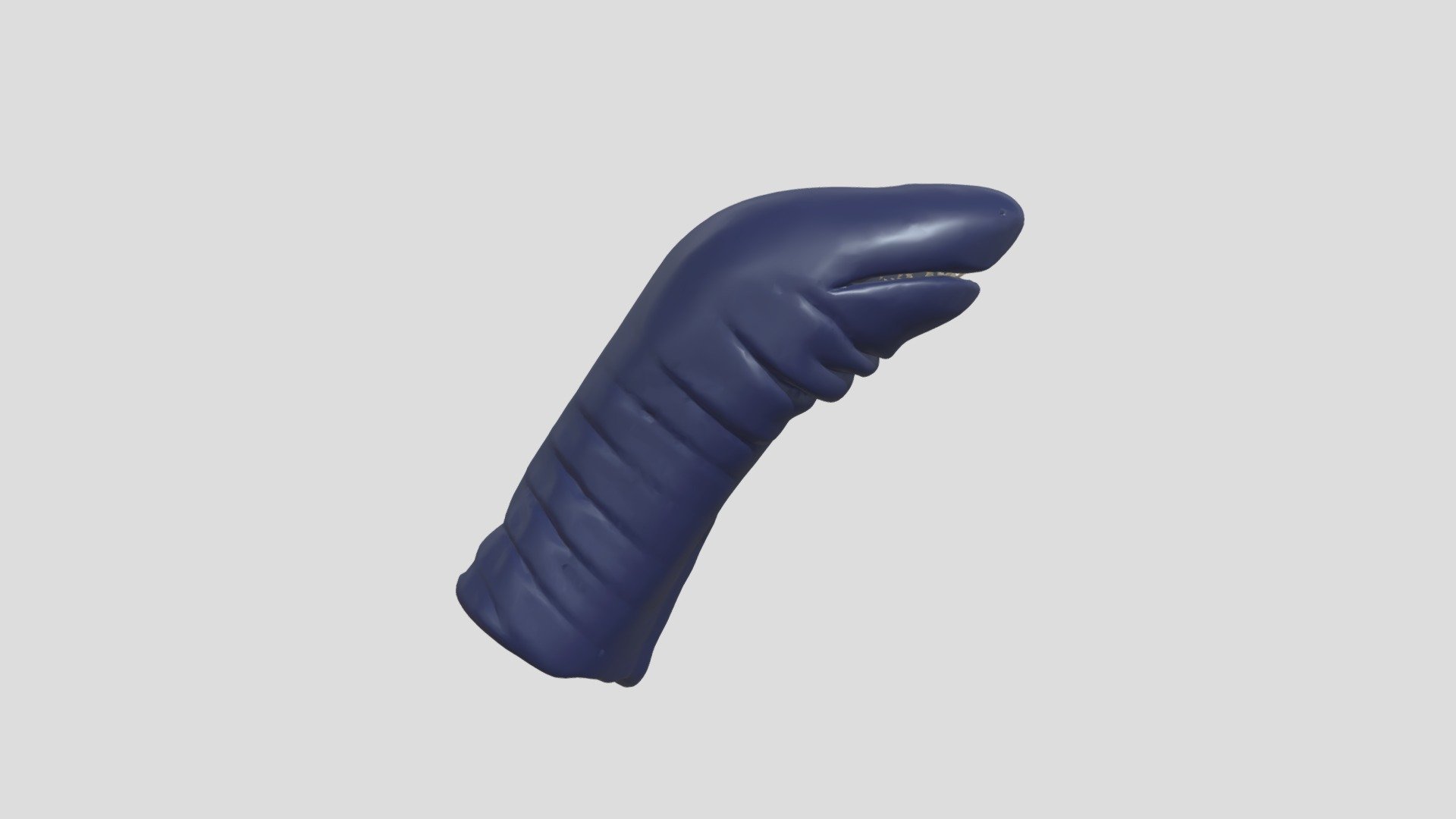 C_tentaculata_Final