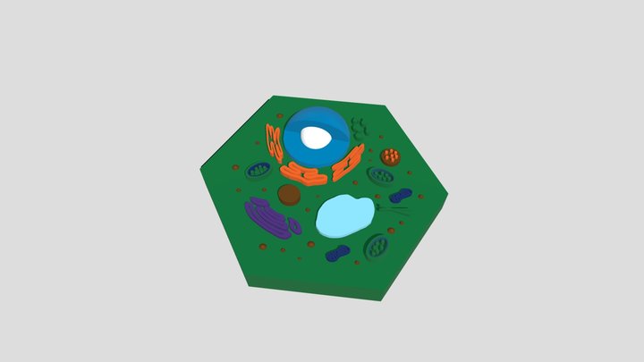 Epic Maimu 3D Model