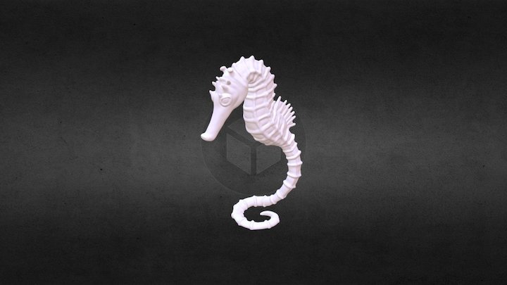 Seahorse 3D Model