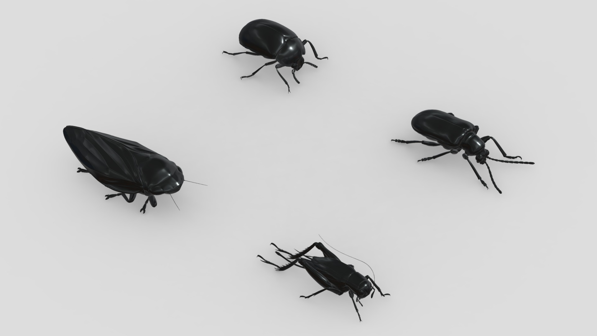 3D model Insects&beetles-pack6 - This is a 3D model of the Insects&beetles-pack6. The 3D model is about a group of black and white bugs.