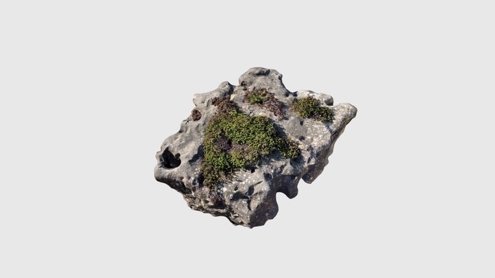 Natursteinplatte1 3D Model