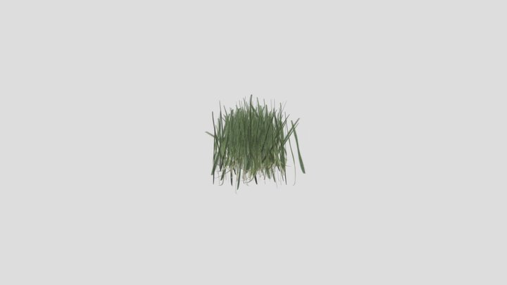 Grasses_Low 3D Model