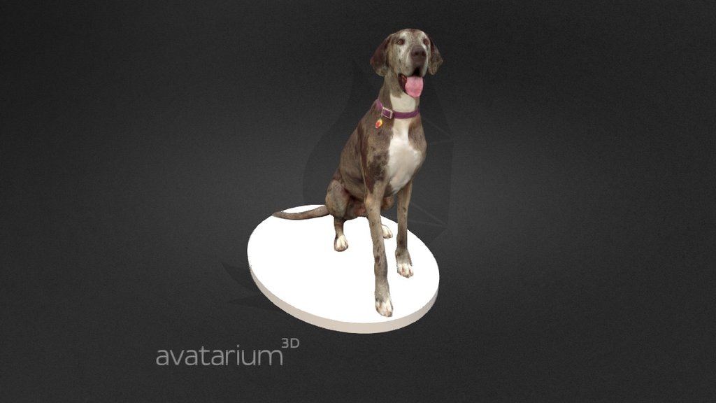 Great Dane Dog Sitting - 3D model by Avatarium 3D (@avatarium3d ...