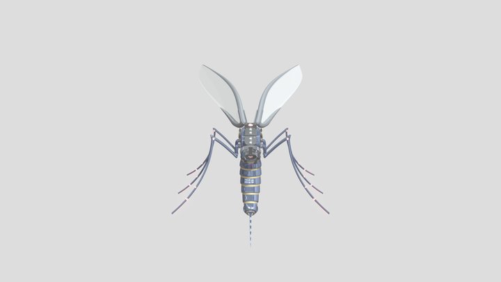 11 3D Model