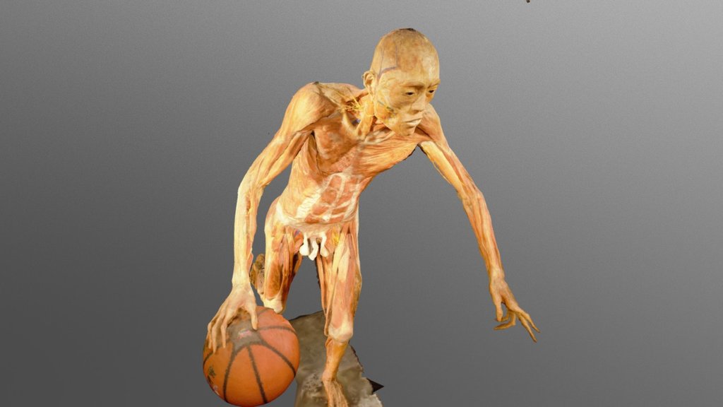 Basquete