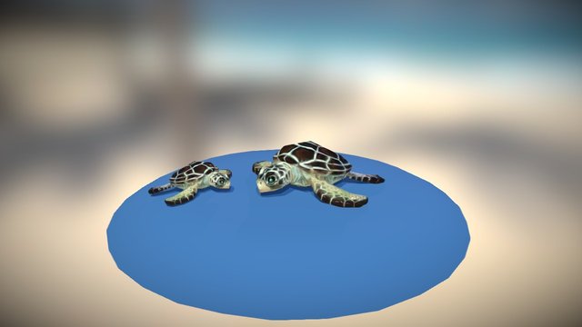 turtle 3D Model