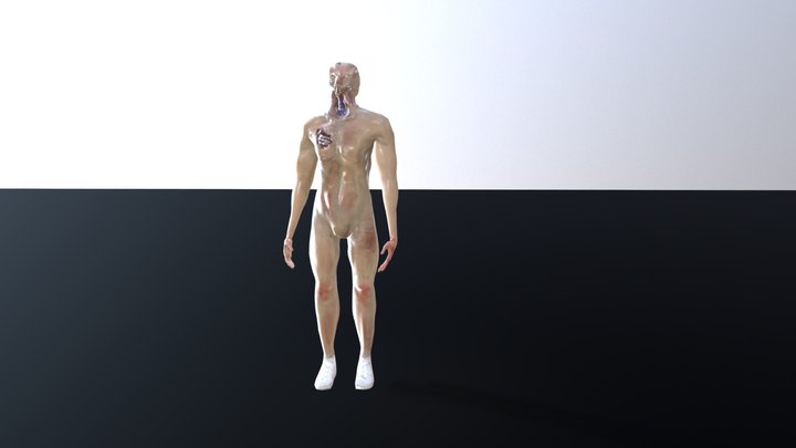 MAD ANIM 3D Model